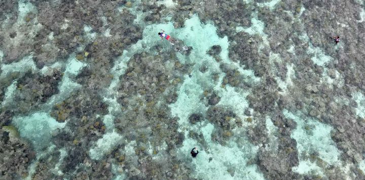 Una vista aérea muestra a habitantes locales nadando sobre arrecifes de coral frente a la playa de Nadir, a unos 52 kilómetros de Nadi. Los arrecifes de coral de Fiyi se ven cada vez más amenazados por el aumento de la temperatura del océano vinculado al cambio climático —lo que puede provocar el blanqueamiento del coral y degradar los ecosistemas arrecifales—, mientras que la subida del nivel del mar contribuye a la erosión costera y aumenta los riesgos para las poblaciones situadas en zonas bajas del litoral.