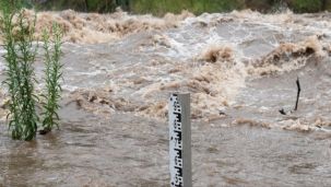 Río Uruguay