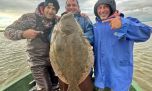 El lenguado pisa fuerte en la albufera de Mar Chiquita