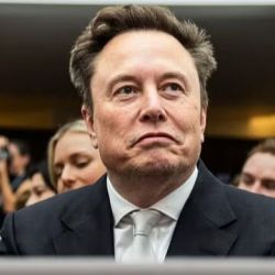 Elon Musk | Foto:CEDOC