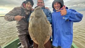 1310_pesca