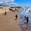 1310_sanclemente