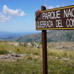 La actividad se extenderá durante casi siete meses en uno de los ambientes naturales más singulares de las Sierras Grandes. 