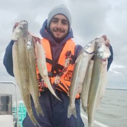 Excelentes matungos en este ámbito del oeste bonaerense. 