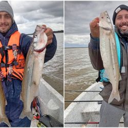 Excelentes matungos en este ámbito del oeste bonaerense. 
