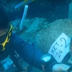 El legendario naufragio se encuentra en perfecto estado de conservación.