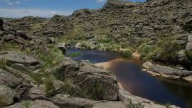 La actividad se extenderá durante casi siete meses en uno de los ambientes naturales más singulares de las Sierras Grandes.