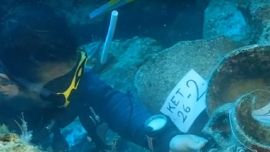 Fue localizado enterrado en las profundidades del mar Mediterráneo, a escasa distancia de la costa de Turquía, más precisamente, cerca de la paradisíaca isla de Kekova, en la provincia costera de Antalya.