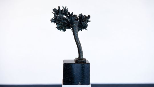 Escultura en bronce: entre la paciencia del oficio, el lenguaje de las flores y el arte monumental