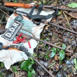 Parte de las armas incautadas.
