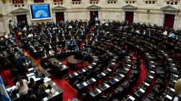 Diputados 