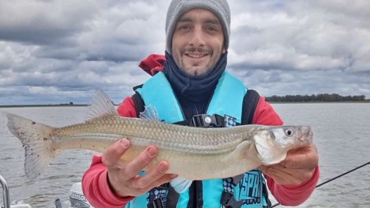 Pejerreyes de ensueño en el oeste bonaerense: una laguna famosa por sus matungos