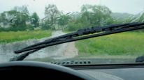 Lluvias