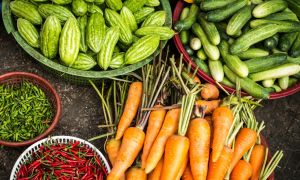 Día Mundial de la Alimentación FAO 2026