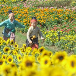 Niños corren entre flores, en la aldea de Longshanhu, en la provincia de Jiangsu, en el este de China. | Foto:Xinhua/Zhong Xueman