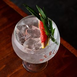 Gin tonic
