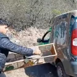 Fue en el marco de operativos destinados a combatir la tenencia ilegal y el cautiverio de especies protegidas. 
