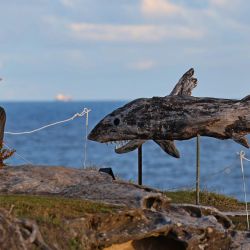 Imagen de un visitante tomando fotografías de una obra en una exposición al aire libre a la orilla del mar, en Sídney, Australia. Presentando obras de artistas de Australia y de todo el mundo, la exposición al aire libre llamada "Escultura a la Orilla del Mar" se lleva a cabo a lo largo del sendero costero de Bondi a Tamarama, en Sídney y estará abierta hasta el 2 de noviembre de este año. | Foto:Xinhua/Gong Bing