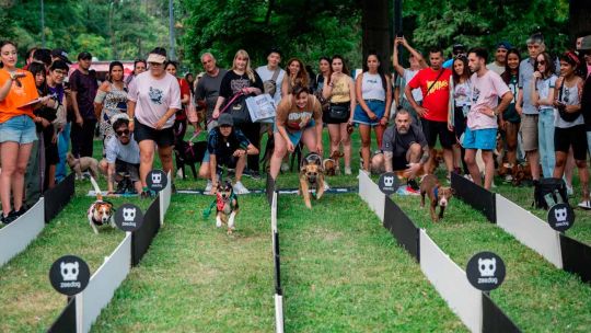 Mascotear 2026: la Ciudad de Buenos Aires tendrá un festival gratuito para disfrutar con las mascotas