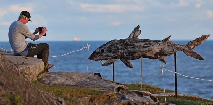 Imagen de un visitante tomando fotografías de una obra en una exposición al aire libre a la orilla del mar, en Sídney, Australia. Presentando obras de artistas de Australia y de todo el mundo, la exposición al aire libre llamada "Escultura a la Orilla del Mar" se lleva a cabo a lo largo del sendero costero de Bondi a Tamarama, en Sídney y estará abierta hasta el 2 de noviembre de este año.