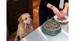 Del alimento balanceado a la comida real: la pregunta que cambió la vida de Pepe