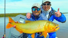 Dorados y tarariras ganan protagonismo en distintos ambientes del Río de la Plata, con señuelos y carnada natural.