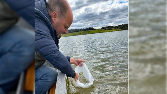 Más de 130.000 alevinos para La Brava: el plan del Club de Pesca Balcarce para cuidar el recurso