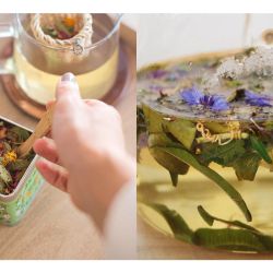 El arte de conectar con la medicina natural a través del diseño y las infusiones  | Foto:CONTENTNOTICIAS