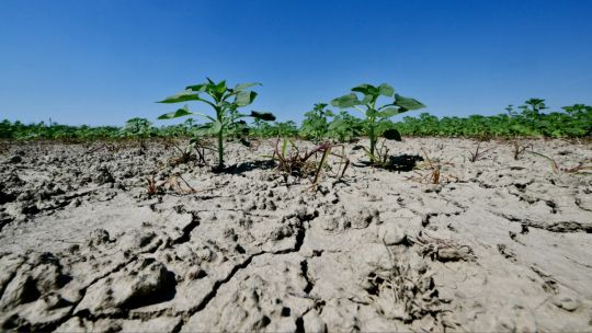 La ONU alertó que el mundo se encamina a un calentamiento de 2,6 °C en este siglo