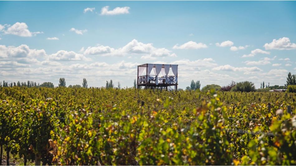 Entre viñedos y montañas: la experiencia de Claroscuro que invita a descubrir el Valle de Uco