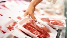Carne vacuna