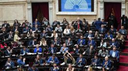 Ley de Discapacidad aprobada en el Congreso