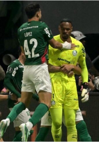 Palmeiras