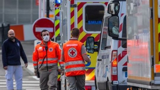 Qué es el virus Shamonda: cómo se transmite y qué se sabe del caso confirmado en Francia