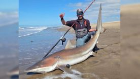 2310_PESCA