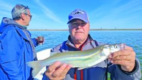 2310_PESCA