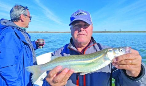 2310_PESCA