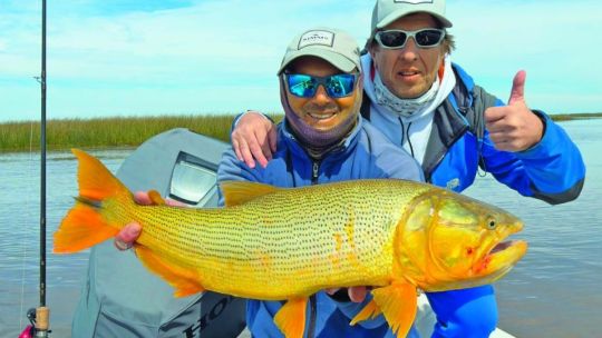 Tras los grandes cazadores del Delta: una jornada de pesca entre dorados y tarariras
