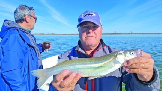Plan de fin de semana: pejerreyes en Hinojo Grande