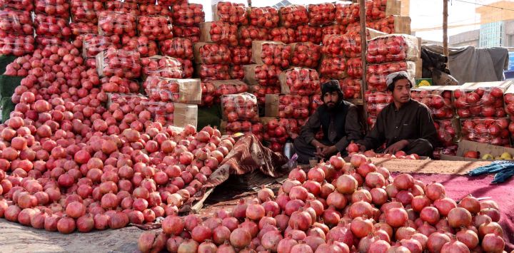 Vendedores afganos que ofrecen granadas esperan a los clientes en un puesto en Herat.