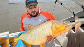El momento más destacado de la jornada llegó con la captura de un ejemplar de dorado de 100 cm de longitud y 15,200 kg de peso, una pieza que se convirtió en la gran protagonista de la competencia.