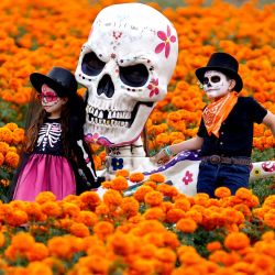 Niños con los rostros pintados posan para fotografías en un campo de flores de cempasúchil, durante los preparativos para la celebración del Día de Muertos en el Rancho San Juan Diego, en Tlajomulco de Zúñiga, Jalisco, México. El 2 de noviembre, México celebra el Día de Muertos para rendir homenaje a familiares y amigos fallecidos. | Foto:ULISES RUIZ / AFP