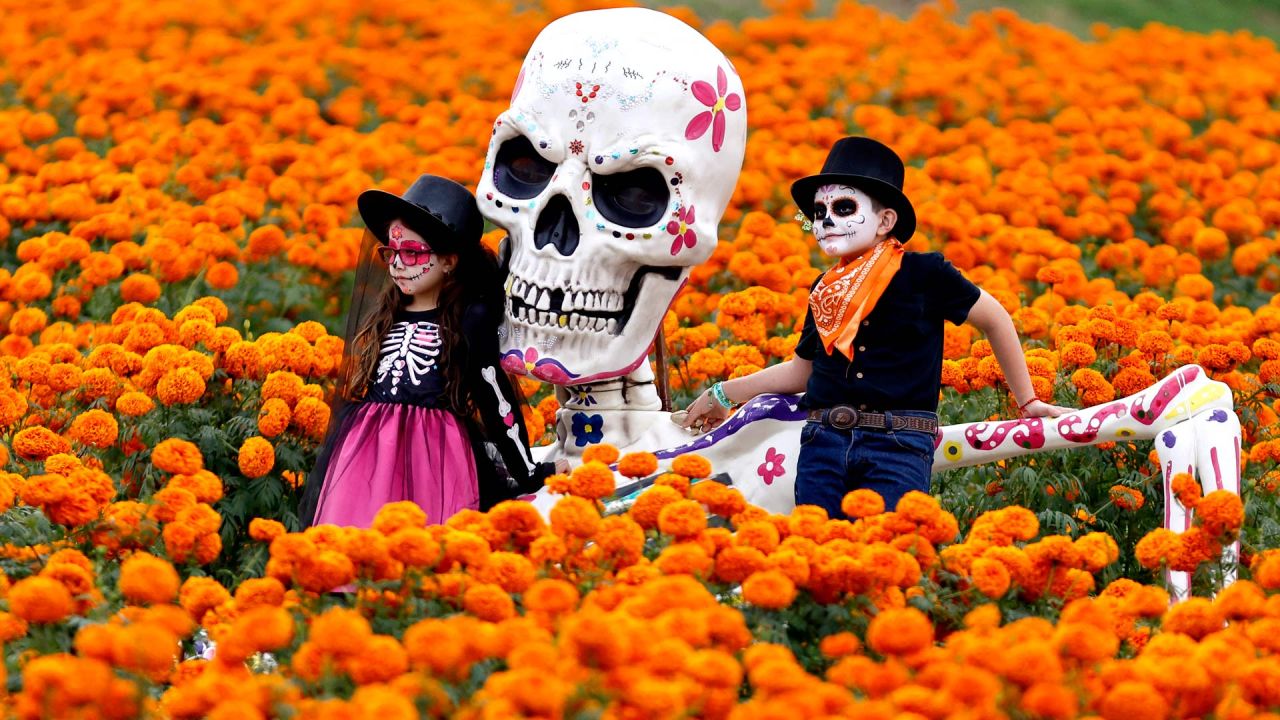 Niños con los rostros pintados posan para fotografías en un campo de flores de cempasúchil, durante los preparativos para la celebración del Día de Muertos en el Rancho San Juan Diego, en Tlajomulco de Zúñiga, Jalisco, México. El 2 de noviembre, México celebra el Día de Muertos para rendir homenaje a familiares y amigos fallecidos. | Foto:ULISES RUIZ / AFP