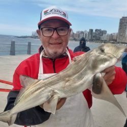El siempre presente pez palo apareció desde el comienzo, pero con el correr de las horas se incorporaron otras especies que le dieron un nuevo impulso a la competencia. Burriquetas, anchoas de banco y roncadoras ganaron protagonismo. 