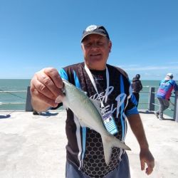 El siempre presente pez palo apareció desde el comienzo, pero con el correr de las horas se incorporaron otras especies que le dieron un nuevo impulso a la competencia. Burriquetas, anchoas de banco y roncadoras ganaron protagonismo. 