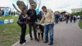La Ciudad impulsa una ley para que cada perro y gato tenga un número único de identificación