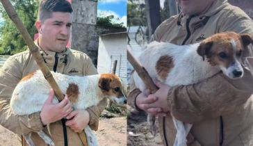 Alejandro Pueblas rescató a un perro