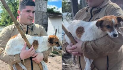 Alejandro Pueblas rescató a un perro