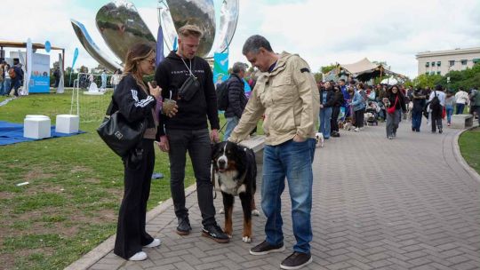 La Ciudad de Buenos Aires impulsa una nueva ley para proteger a perros y gatos 