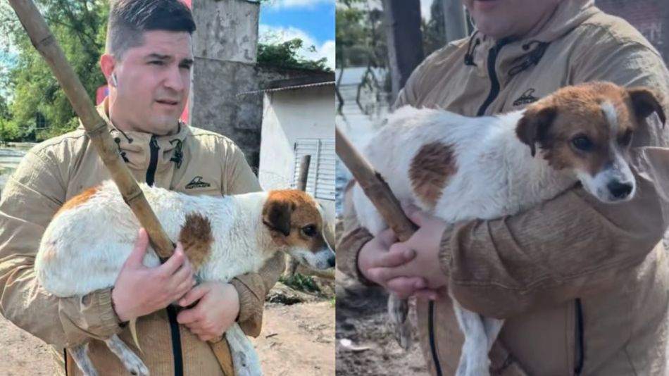 Alejandro Pueblas rescató a un perro
